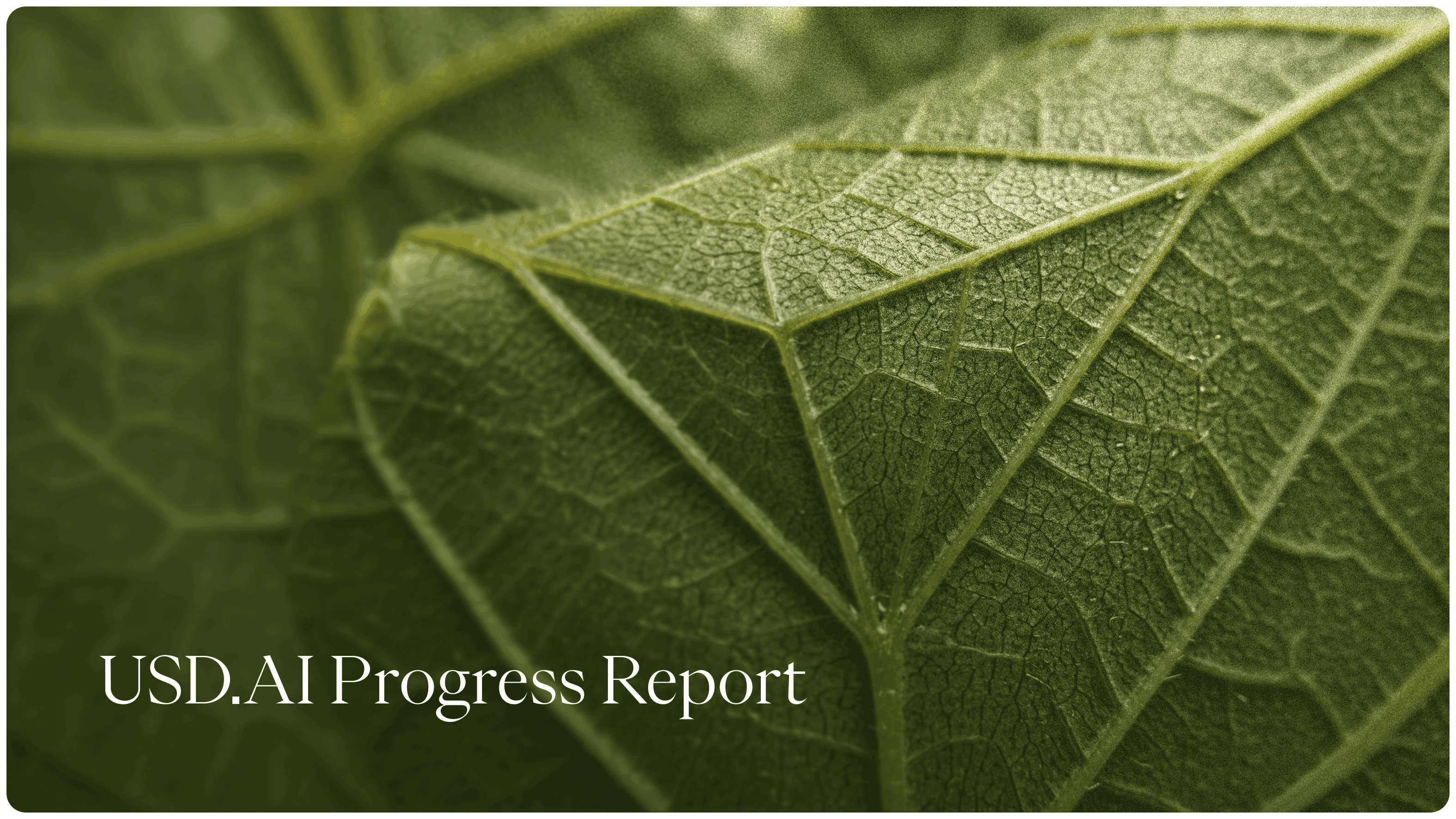 The Interest Rate of Intelligence