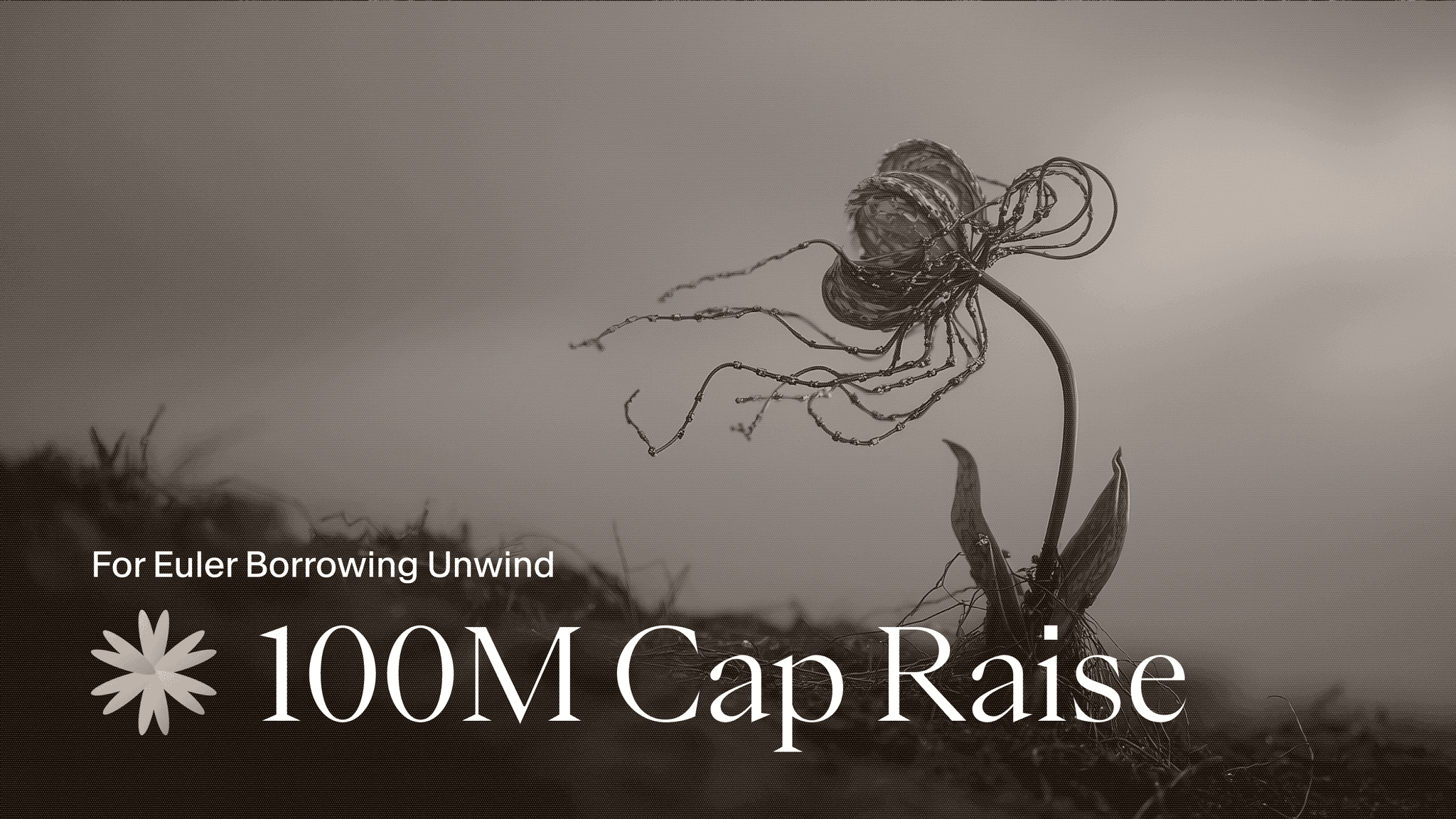 USDai $100m Cap Raise for Euler Unwind