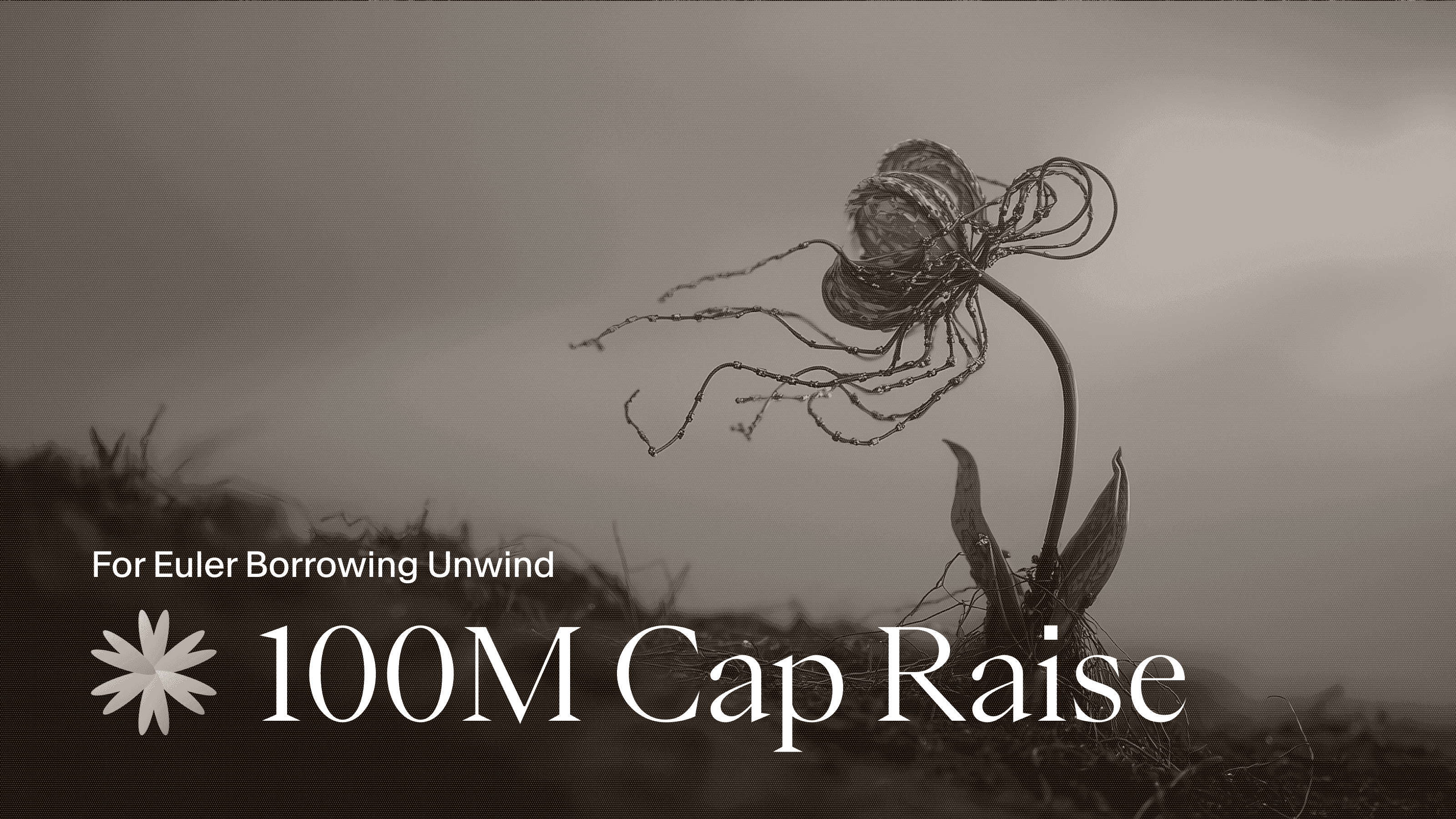 USDai $100m Cap Raise for Euler Unwind