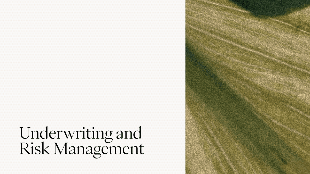 Underwriting and Risk Management
