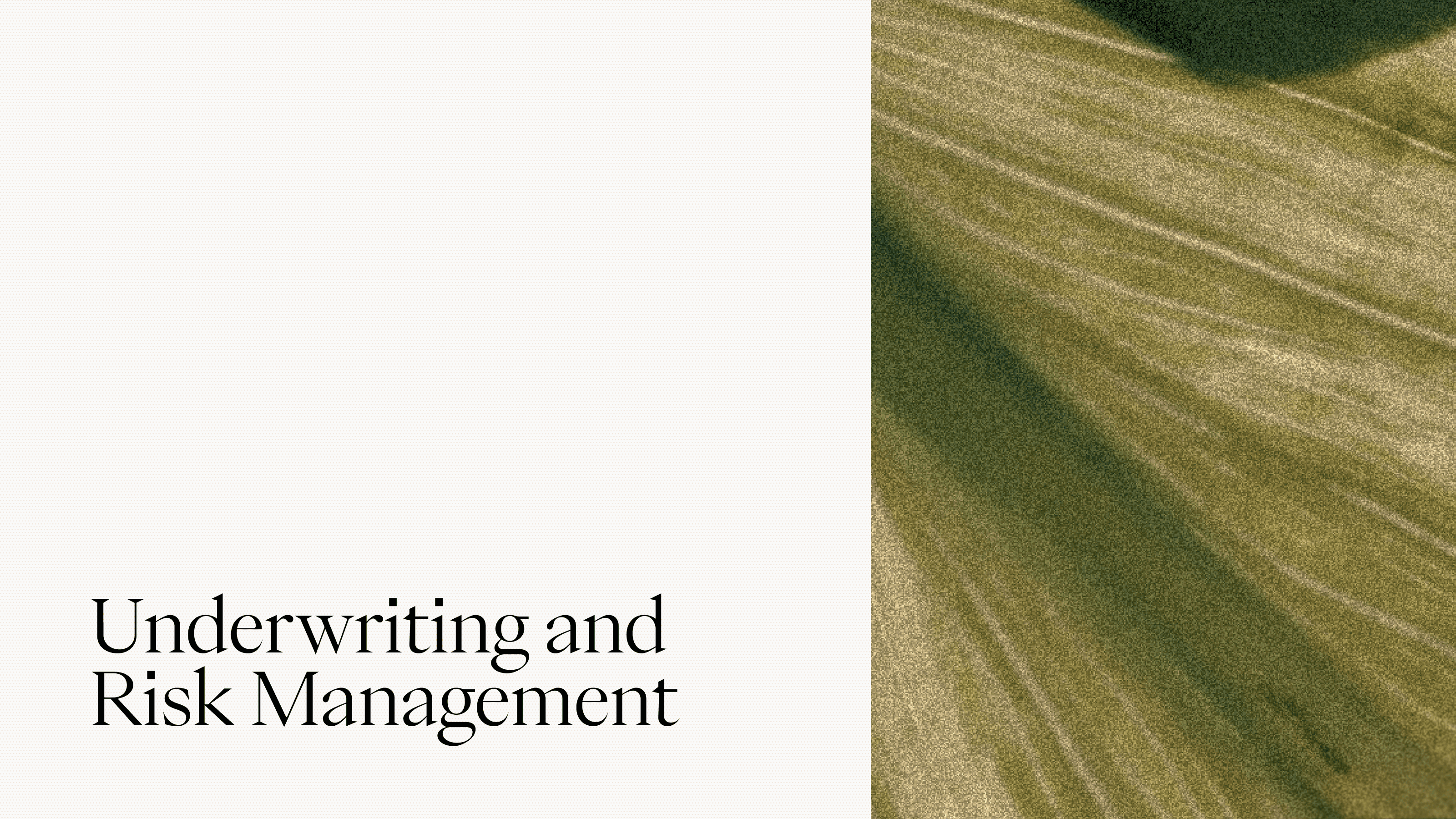 Underwriting and Risk Management